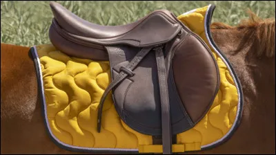 À quoi sert la selle ?