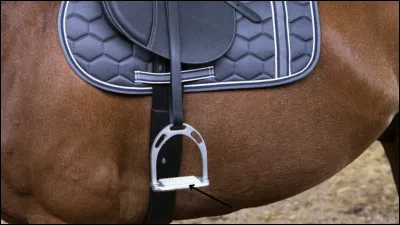 Quel est le nom de cette partie de l'étrier ?