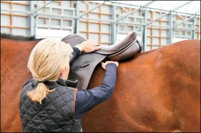Une selle est à adapter...