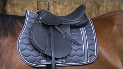 À chaque question la partie est indiquée par une flèche.

Quel est le nom de cette partie de la selle ?