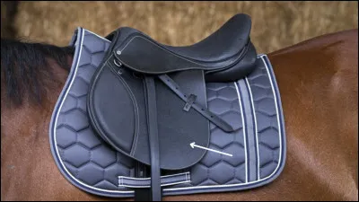 &Agrave; chaque question la partie est indiqu&eacute;e par une fl&egrave;che.Quel est le nom de cette partie de la selle ?
