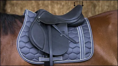 Quel est le nom de cette partie de la selle ?