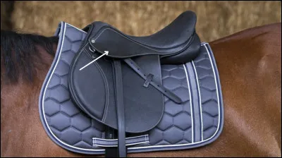 Quel est le nom de cette partie de la selle ?