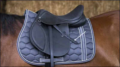 Quel est le nom de cette partie de la selle ?