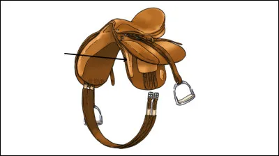 Quel est le nom de cette partie de la selle ?