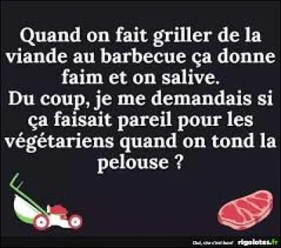 Quel est le d&eacute;bit salivaire moyen d'un adulte par jour ?