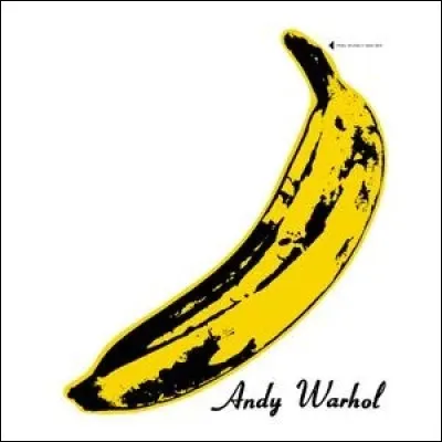 Andy Warhol a signé la pochette de quel groupe ?