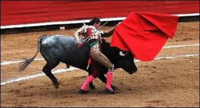 Comment s'appelle le drap rouge qu'utilise un matador pour provoquer le taureau ?