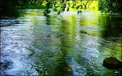 Quel est ton élément ?