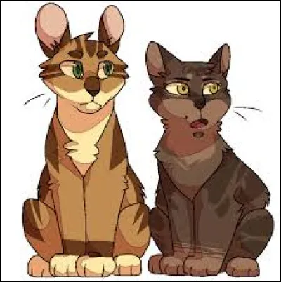 Quelle est la couleur du pelage de Bouton d'Or ?