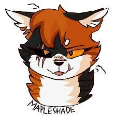 Qui est le mentor de Feuille de Lys dans la forêt Sombre ?