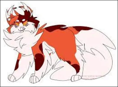 Alors qui est le personnage mystère ?