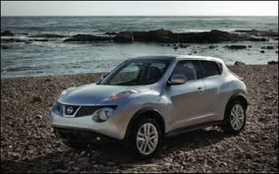Ici vous avez le Nissan ___