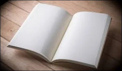 Quelle est la seule lettre totalement absente du roman "La Disparition" de Georges Perec ?