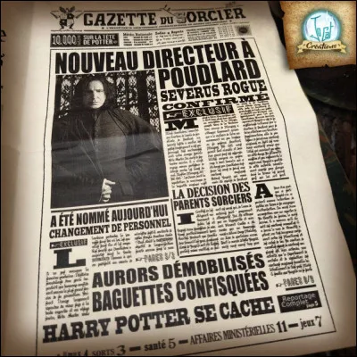 Combien coûte l’abonnement à la Gazette du Sorcier ?