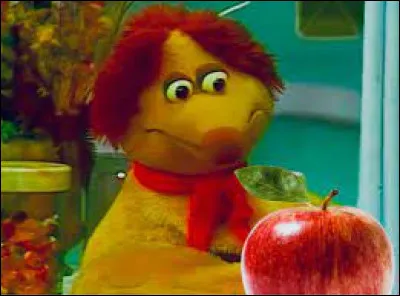 Dans "L'Ile aux enfants", l'ami renard de Casimir s'appelle Gaspard.