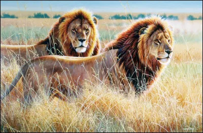 Film tiré d'un fait réel, suivez les rails !