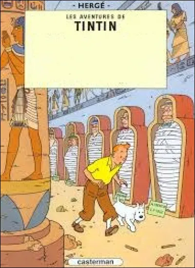 Tintin est en croisière à destination de l'Extrême-Orient. Il rencontre un égyptologue et accepte de l'accompagner au Caire dans son expédition à la recherche du tombeau de Kih-Oskh.
Que découvre-t-il dans ce tombeau ?