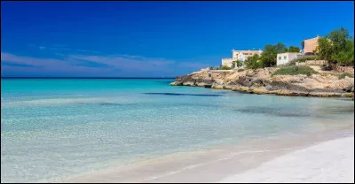 9- Je suis un animus un peu timide, je suis à lécole de la montagne de Jade. Qui-suis je ?