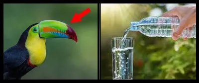 Faites votre choix !