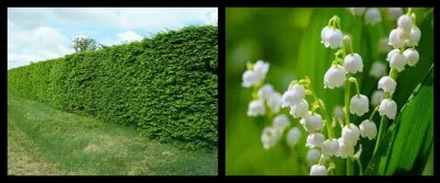 Quel roman a écrit cette célébrité ?