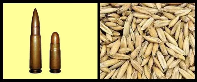 Cliquez sur l'icône qui correspond.