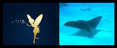 Quel était le prénom de son chien ?