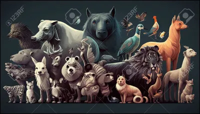 Quel est ton animal pr&eacute;f&eacute;r&eacute; ?