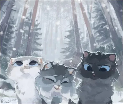 Veux-tu des chatons ?