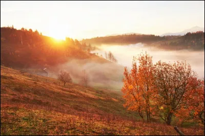 Quelle image préfères-tu ? 3/3 : l'automne !