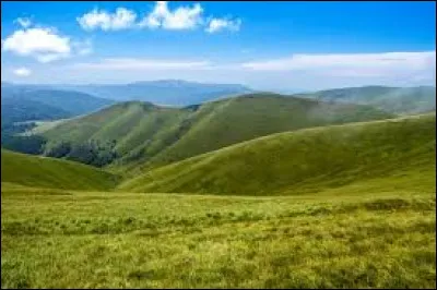 Musique - Quel chanteur a interprété "Siffler sur la colline" ?