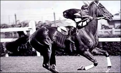 Qui est cette merveille ?