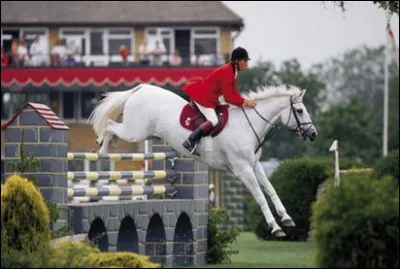 CSO connu qui est-ce ?