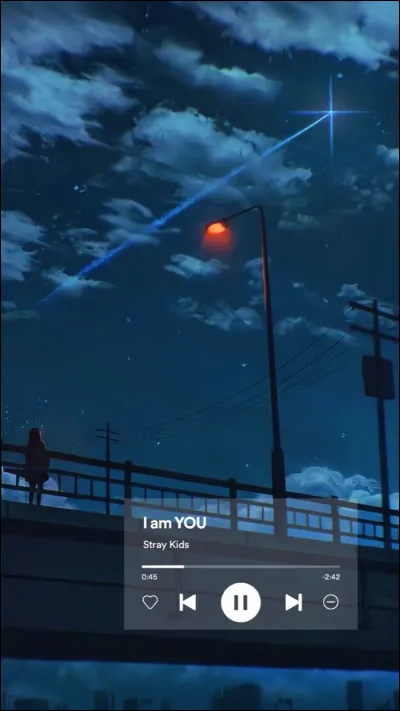 Quelle chanson de Stray Kids préfères-tu parmi celles-ci ? 2/2