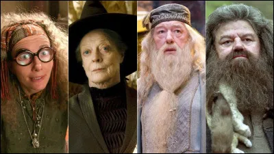 Quel professeur préfères-tu ?