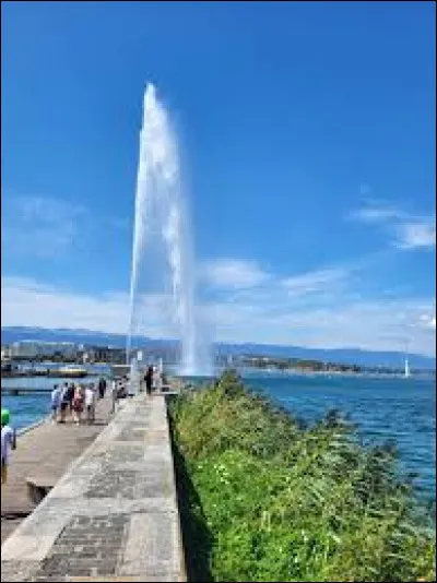 Cette image vous fait penser ...