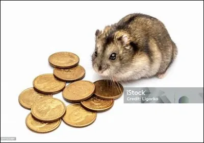 Penses-tu avoir assez d'argent ?