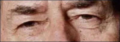 À quelle émission de télévision vous font penser ces yeux-là ?