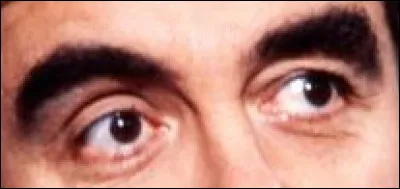 À quelle émission de télévision vous fait penser ce regard ?