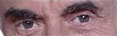 &Agrave; quel programme de t&eacute;l&eacute;vision pouvez-vous rattacher ce regard ?