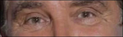 Dans quelle &eacute;mission de t&eacute;l&eacute;vision avez-vous vu les yeux de cet animateur ?