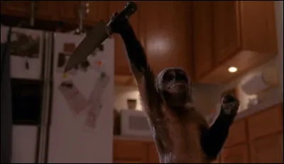 L'image est issue d'une s&eacute;rie des ann&eacute;es 2000 comportant 7 saisons. Crystal n'apparait que dans un &eacute;pisode (ou peut &ecirc;tre deux ou trois). Il s'agit de la s&eacute;rie...