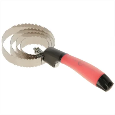 De quelle sorte est cette brosse ?