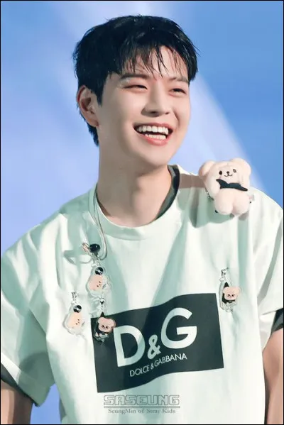 Et pour finir, complète la phrase : 
Seungmin in....