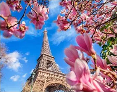 Quelles sont tes vacances idéales ?