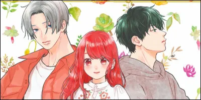 Quelles sont les trois catégories importantes du manga ?