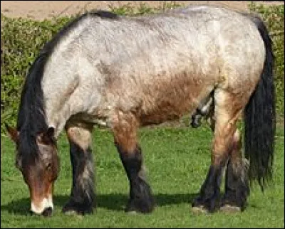 La cathédrale de France la plus haute, c'est...
