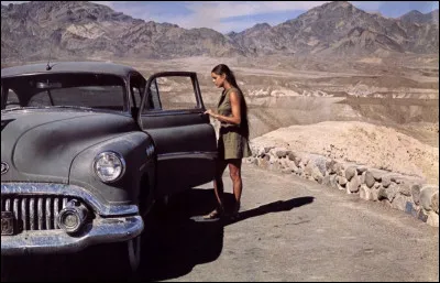 Quel est ce film d'Antonioni dans lequel les personnages se rencontrent dans la vallée de la Mort, pendant les troubles étudiants des années 1960 ?