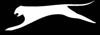 Quelle marque d'équipements sportifs est associée à la panthère ?