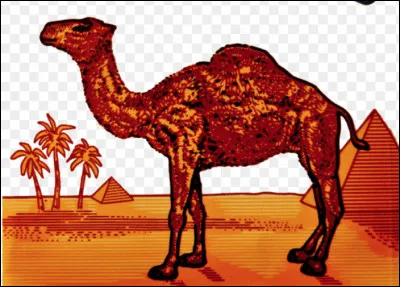 Quelle marque de cigarettes est associée au dromadaire ?